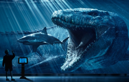 自然地理纪录片